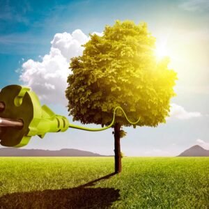 5 razones por las que tu empresa necesita certificados de energía limpia