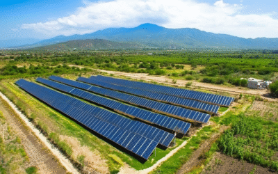 Dónde comprar Certificados de Atributos Energéticos